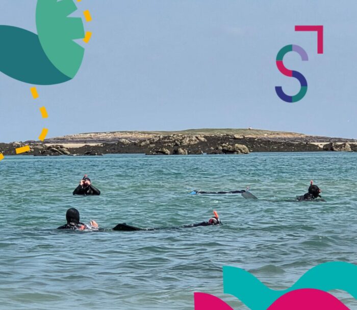 Activité nautique aux îles Chausey près de Granville — team building et séminaire d’entreprise en Normandie